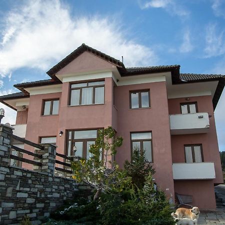 Vasilitsa Rooms Smixi Exterior foto
